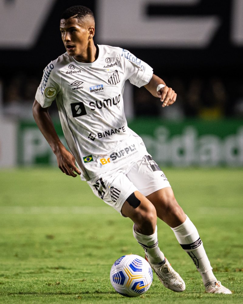 掘起背后的 掘起背后的